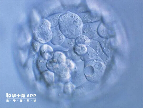 多余胚胎可以根据意愿给予其他患者