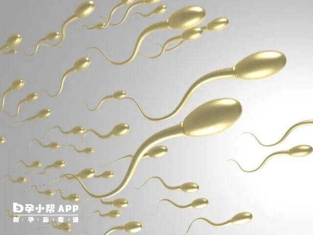 正常精液是乳白色的