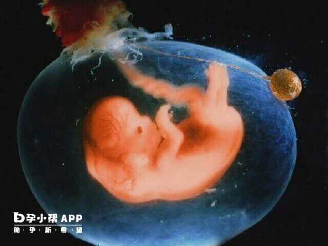 根据胎动频率判断胎儿缺氧不可靠