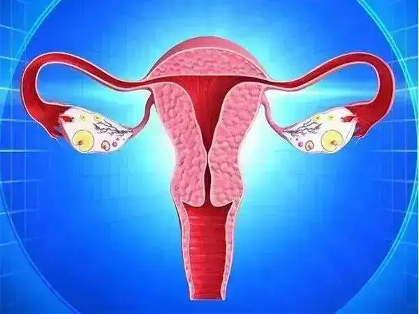 宫颈炎会影响胚胎着床