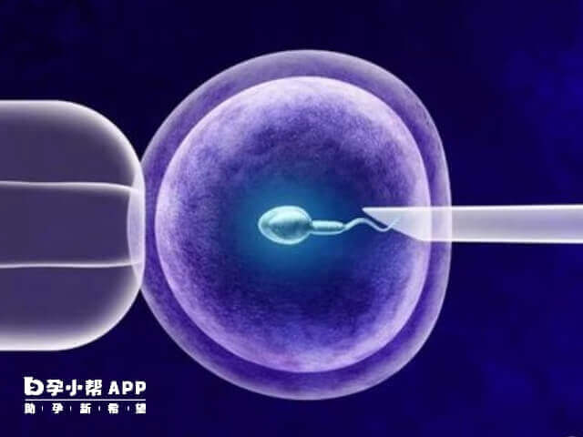 试管成功率与胚胎质量密切相关