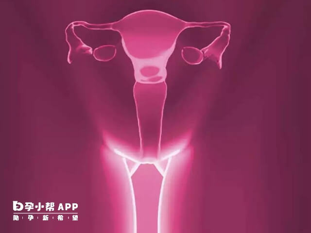 女性吃睾丸酮可以导致卵巢功能衰退