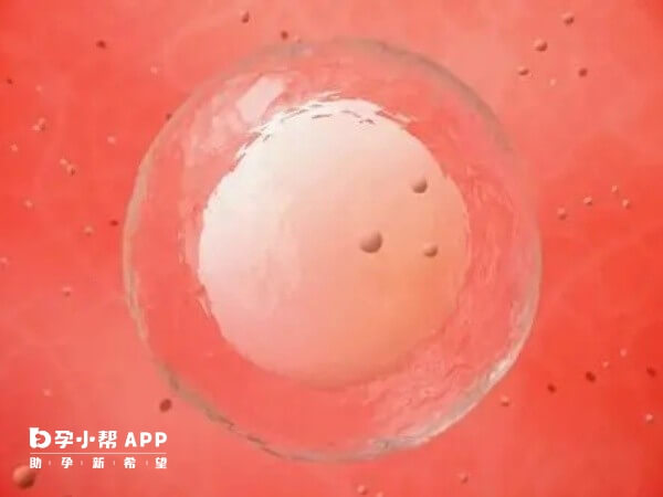 卵泡不破也可能会影响生育