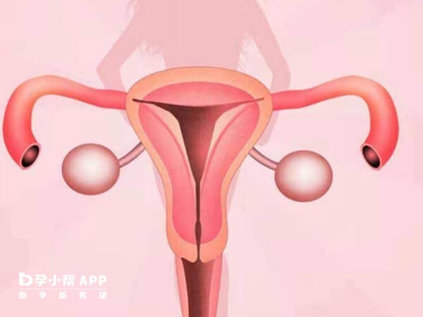 引发输卵管堵塞的病因种类多