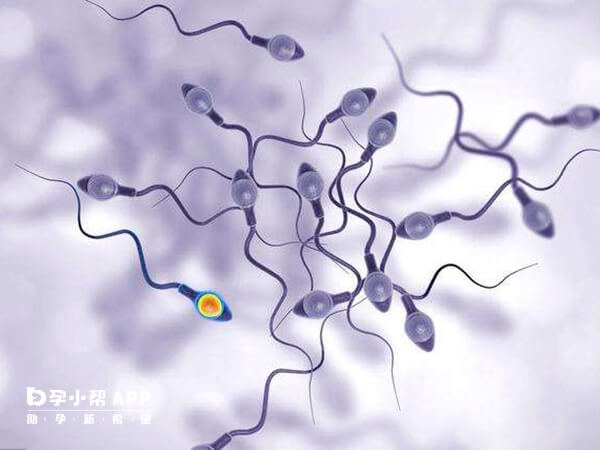 供精人工授精成功率与患者身体情况有关