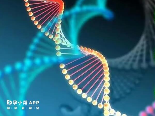Y染色体微缺失可能会遗传