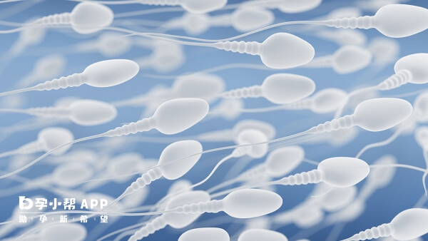 微生物感染会影响对精液样本的质量