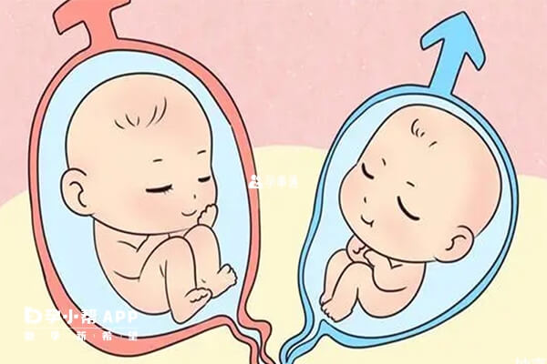 三代试管婴儿生双胞胎的几率