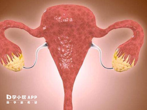 子宫内膜薄即使胚胎质量再好也不容易着床