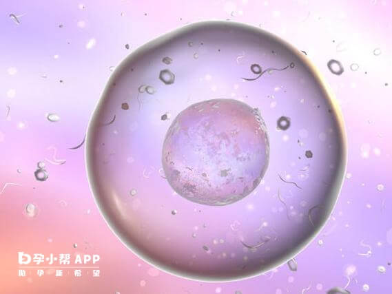 没多余胚胎要等身体完全恢复才能再取卵