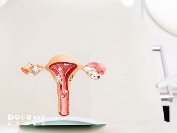 子宫内膜过薄过厚都不利于胚胎移植