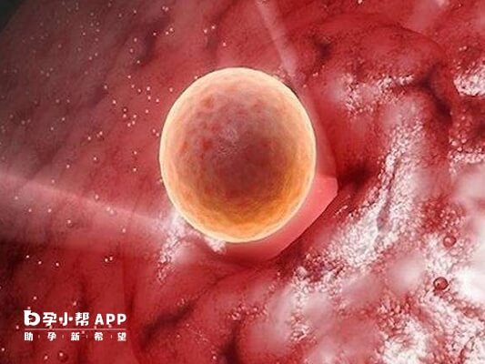 免疫系统和凝血异常都会扼杀胚胎