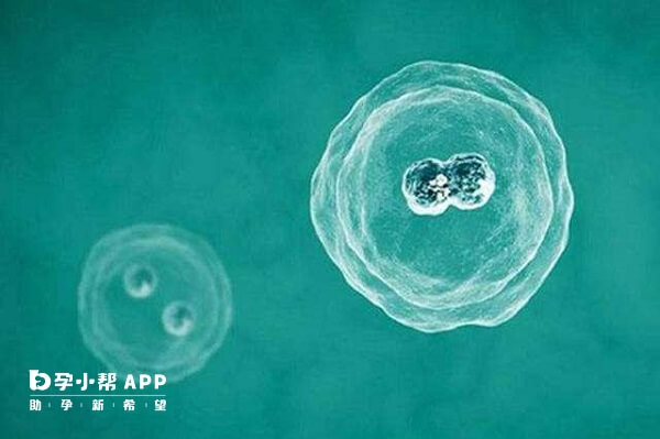 暖宫改善子宫环境能提高冻胚移植成功率
