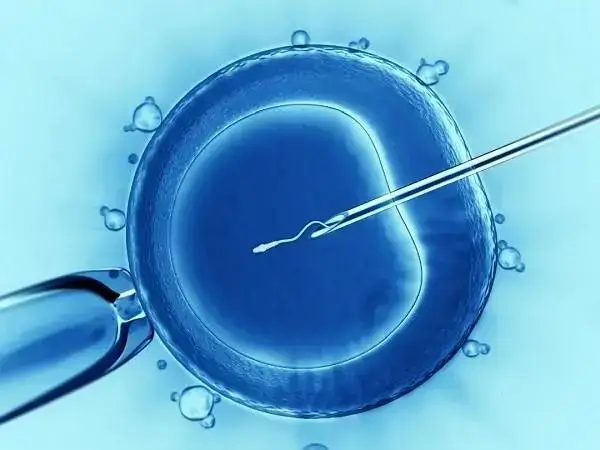 鲜胚生化妊娠通常是因为母体健康有异常