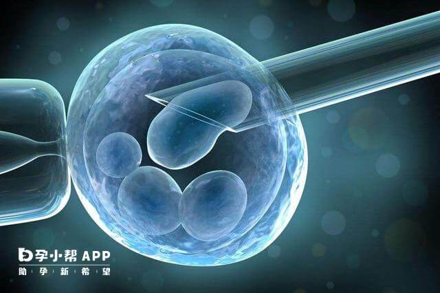 鲜胚移植治疗时间和周期短