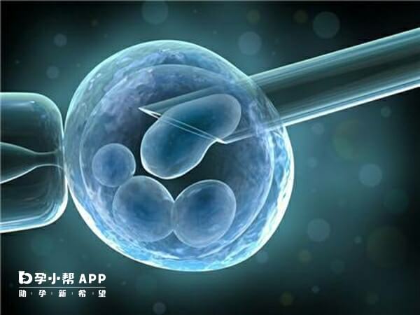 鲜胚移植对女性子宫环境的要求较高