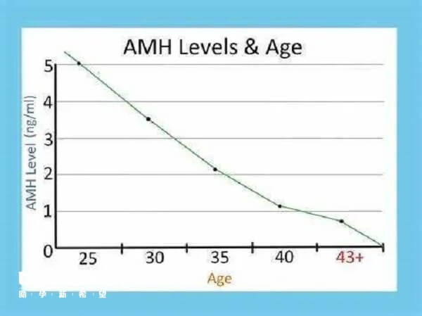 AMH不同年龄段的正常值范围