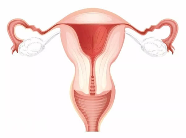 经期同房可能导致宫腔粘连