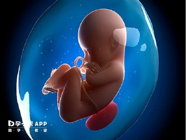 保证胚胎质量可预防生化妊娠
