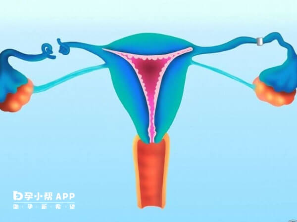 输卵管结扎对女性身体健康影响基本不大