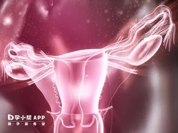 多囊做试管易发生卵巢过度刺激综合征