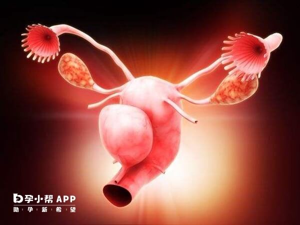 输卵管炎症是导致输卵管堵塞的原因之一