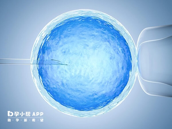 基础卵泡有10颗做试管婴儿易成功