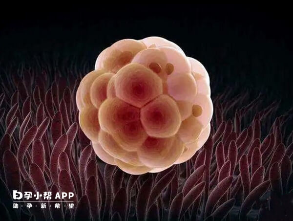 胚胎着床具体时间会因人而异