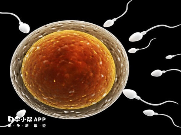 畸形精子能做二代试管婴儿