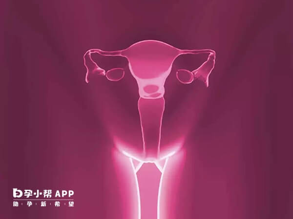 卵巢功能异常易出现月经提前