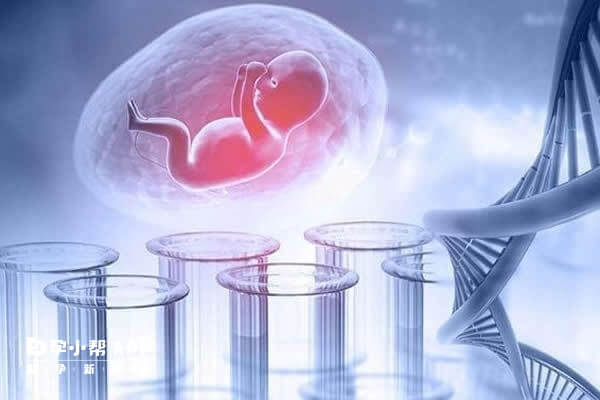 配合医生调理身体能提高胚胎移植成功率