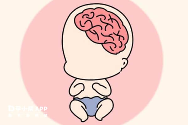 孕期女性科学饮食能影响宝宝智力