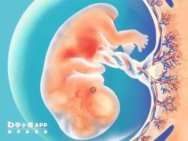 胚胎发育慢能否保胎要看胎儿健康状况