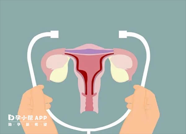 胚胎移植前调节子宫环境很重要