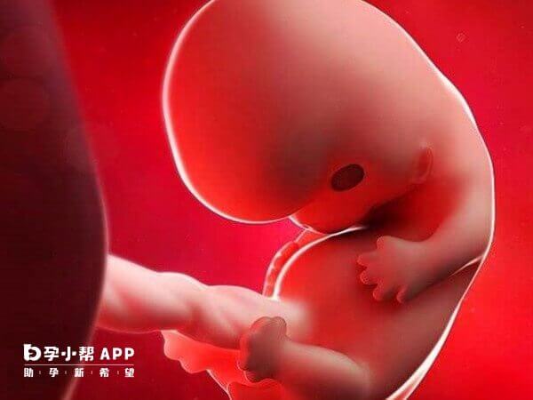 孕35周保胎用药会损伤胎儿健康