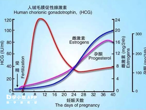 囊胚移植1周HCG翻倍不好是异常的