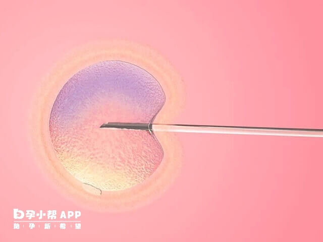 30-35岁做试管的成功率在30%-40%左右