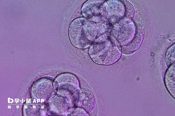 囊胚移植失败后要重视护理恢复健康