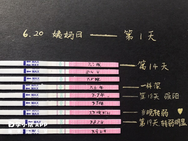 排卵试纸用晨尿检测会不准确