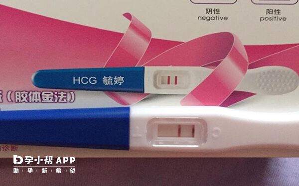 毓婷验孕棒必须按照说明书使用