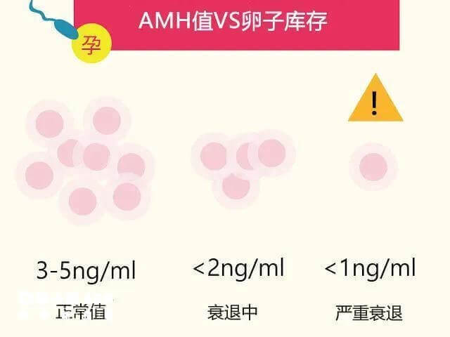 amh值间接反映了女性生育能力的强弱