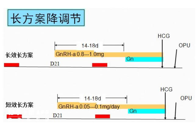 超长方案降调时间表