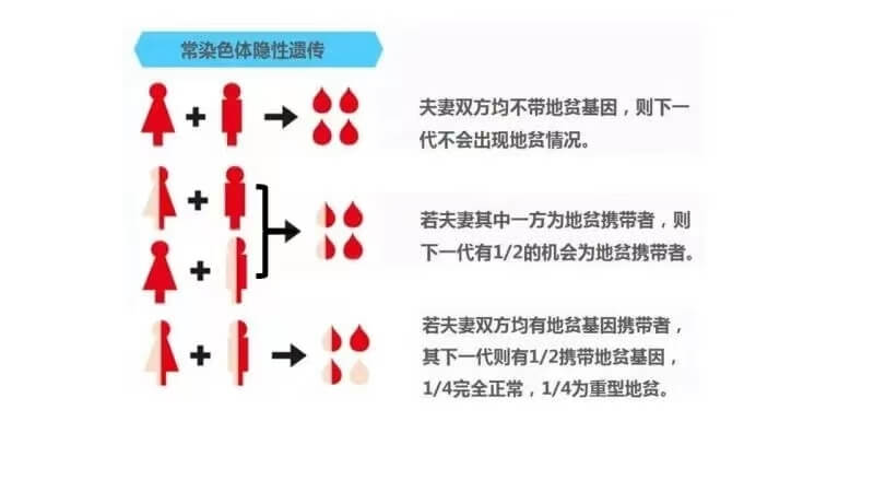 第三代试管婴儿技术能预防地贫患儿的出生