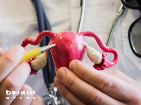 石家庄宫腔粘连治疗费约7000-15000元