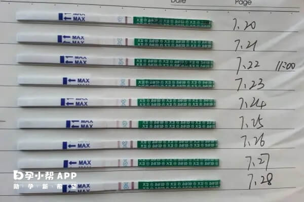 排卵试纸的使用方法其实很简单