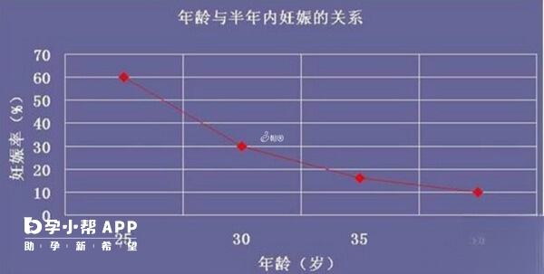 年龄与试管婴儿成功率