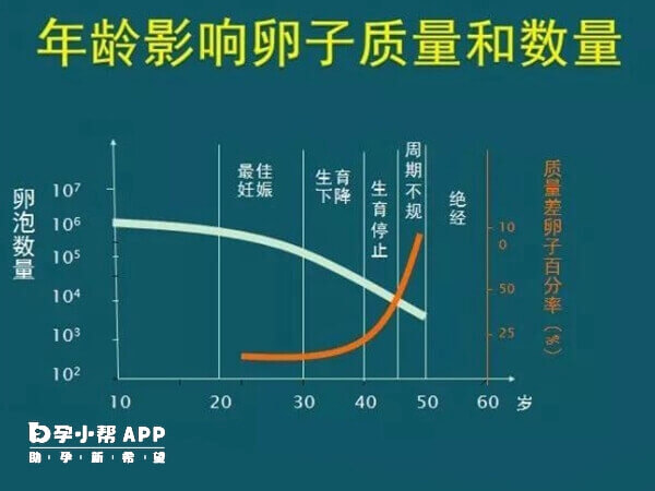 46岁卵子质量开始下降