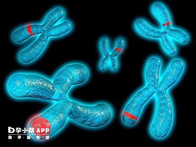 染色体缺失和重复的危害都很大