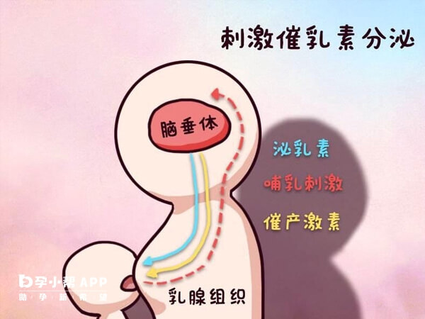 促排卵泌乳素超27ng/ml就是偏高