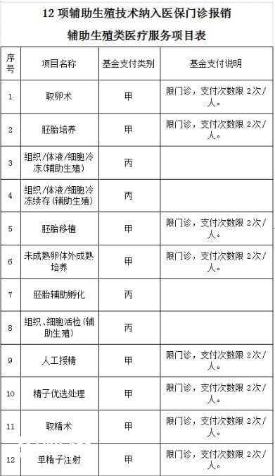 赤峰妇产医院试管费用报销项目表